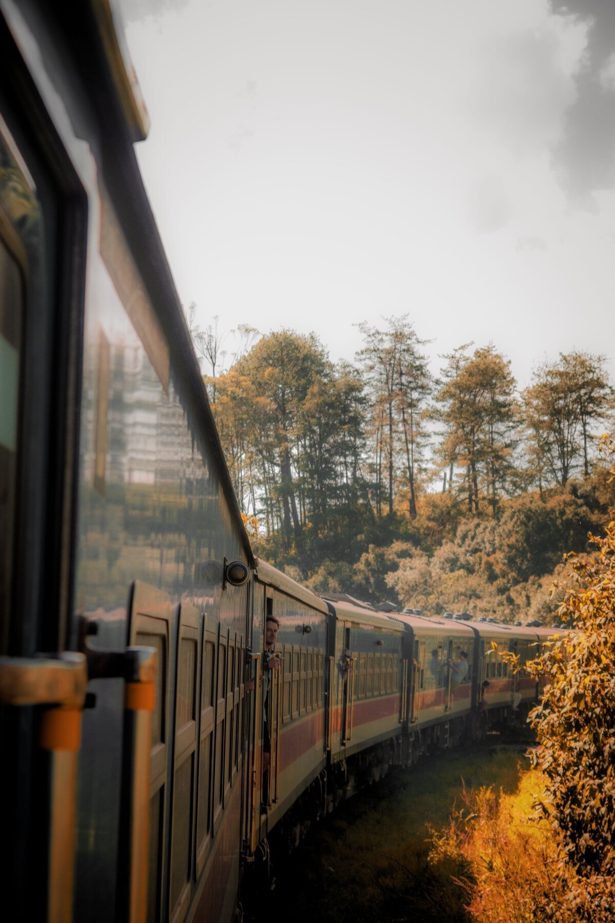 Tea-covered hills and railway near Ella in Sri Lanka