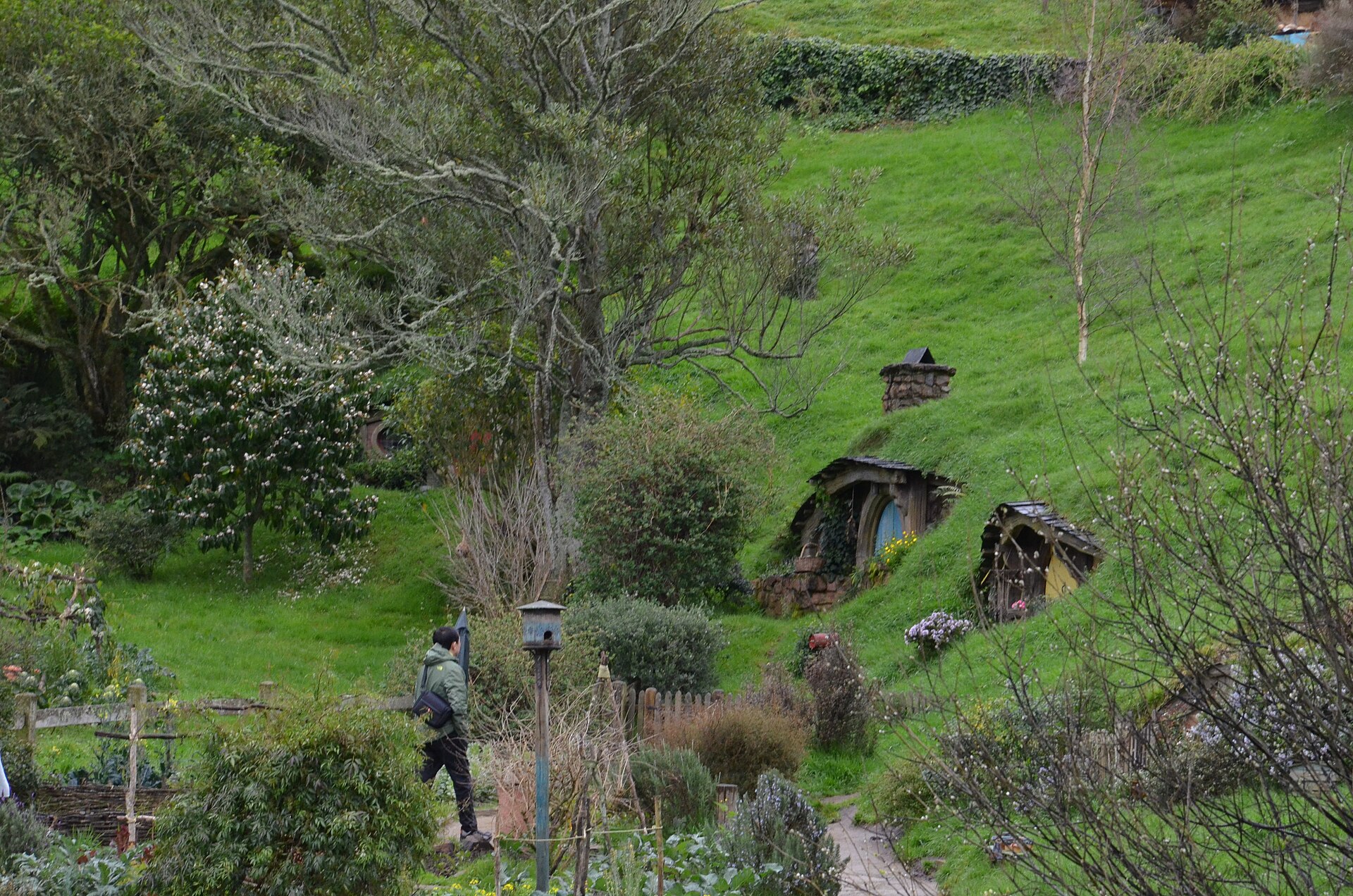 Overview of the green hills and hobbit holes of the Shire at Hobbiton Movie Set, New Zealand
