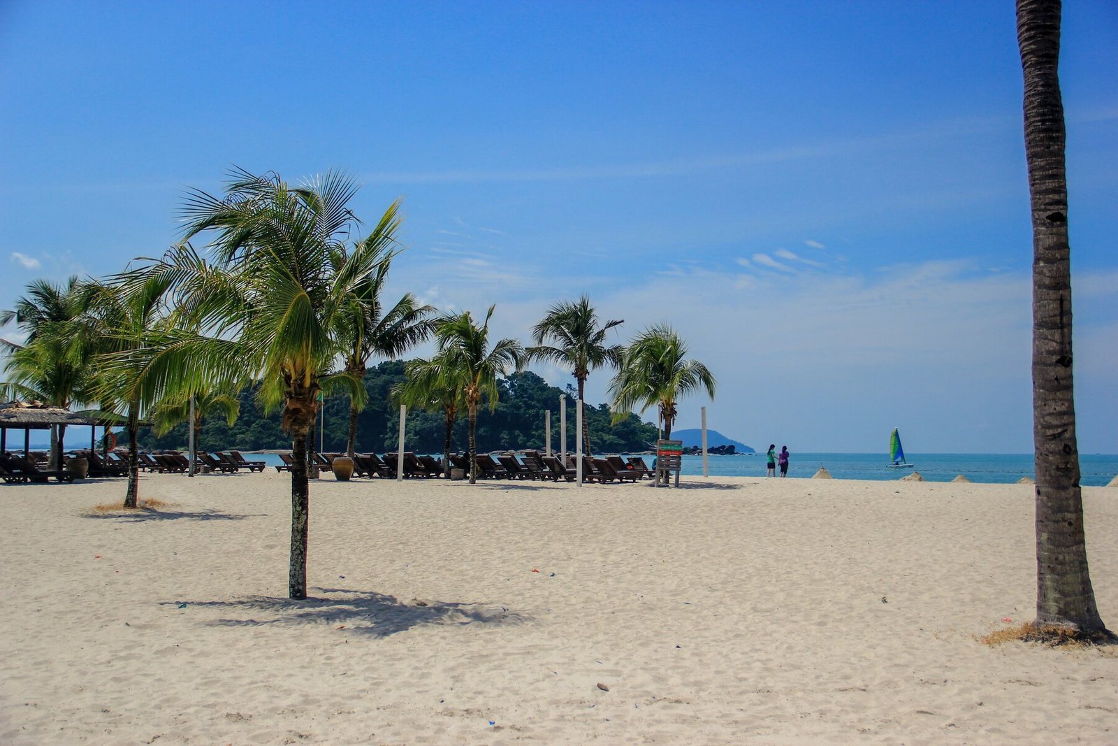 Palm-lined beach in Langkawi Malaysia