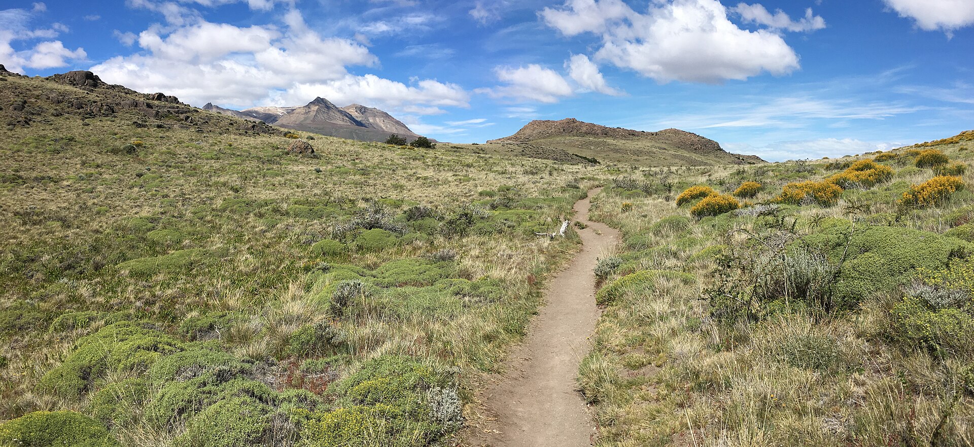A hiking trail through the forest in Los Glaciares National Park