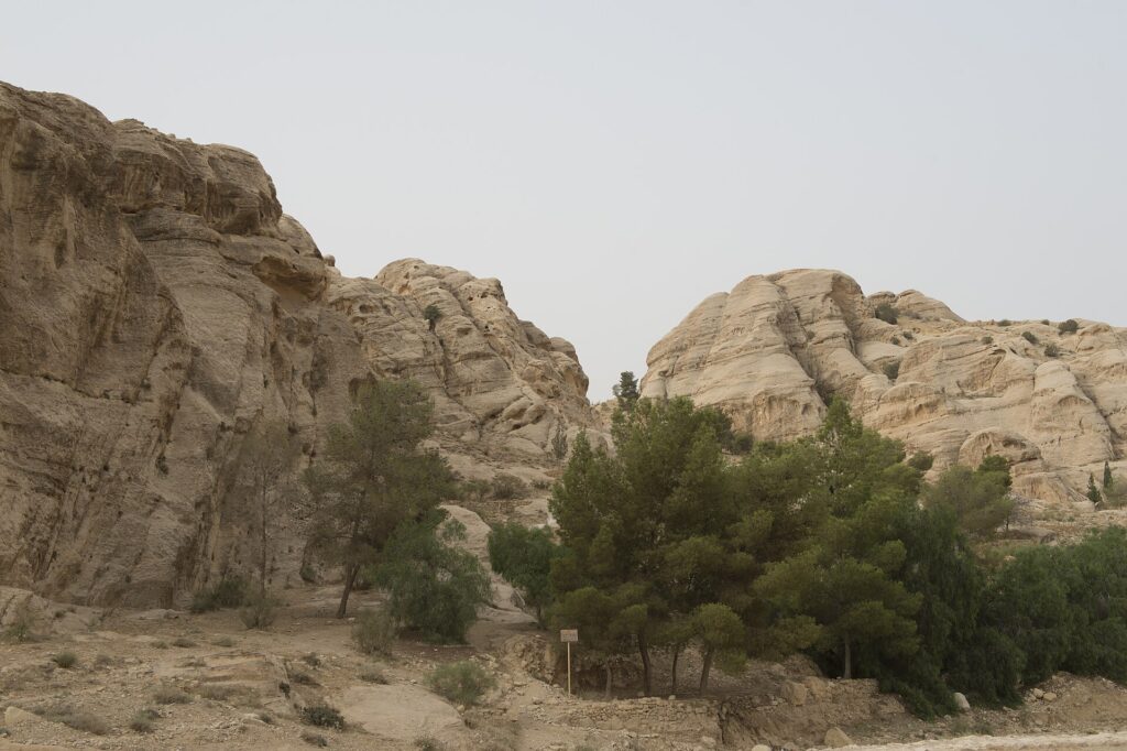 The narrow Siq gorge leading to the ancient city of Petra in Jordan