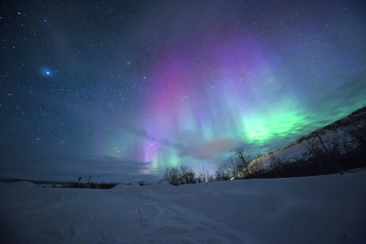 Northern lights over a frozen lake in Swedish Lapland with pine trees