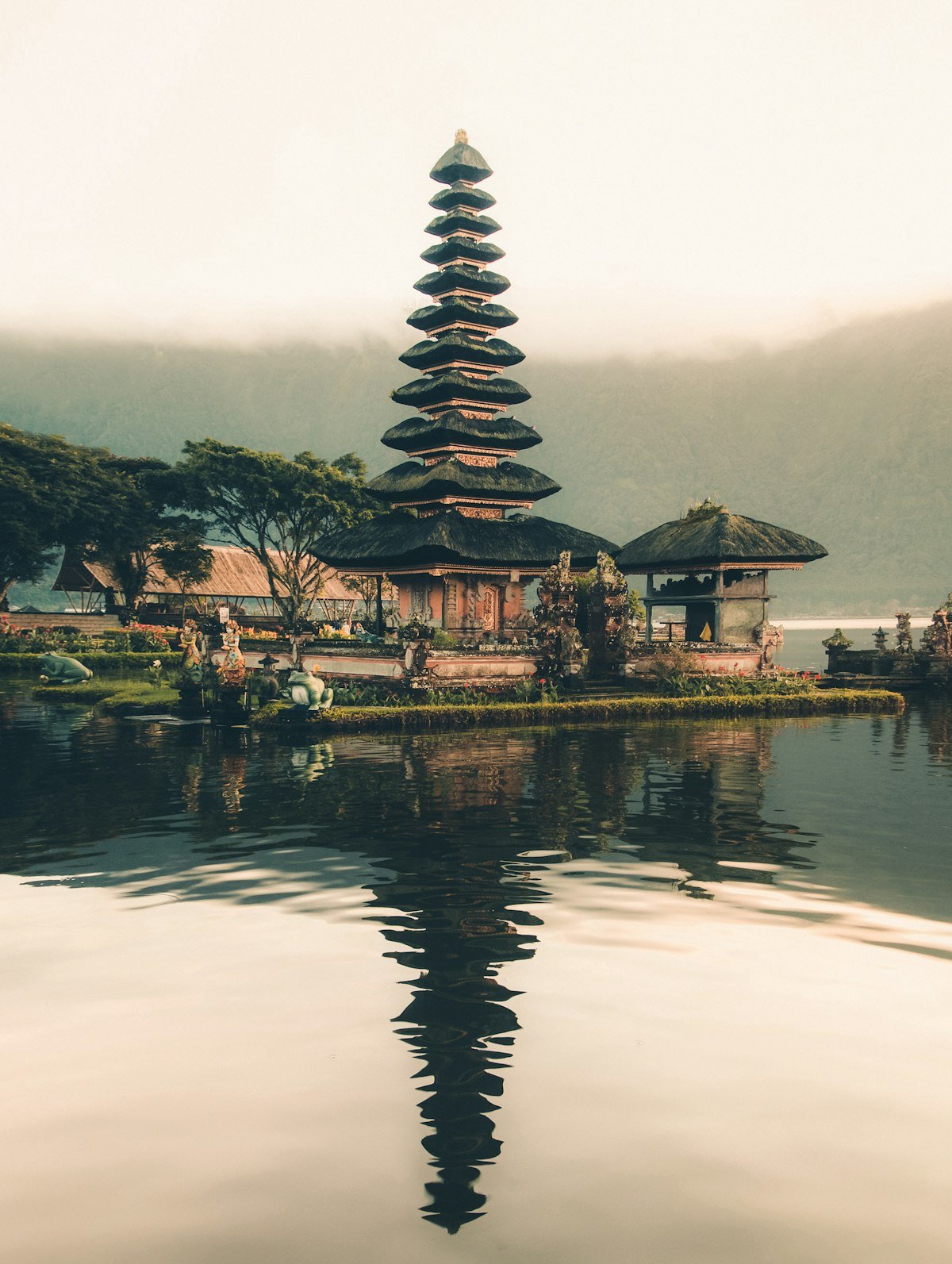 Rice terraces in Ubud, Bali at sunrise