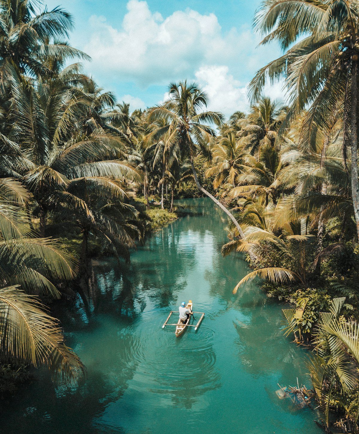 Tegallalang rice terraces in Ubud Bali