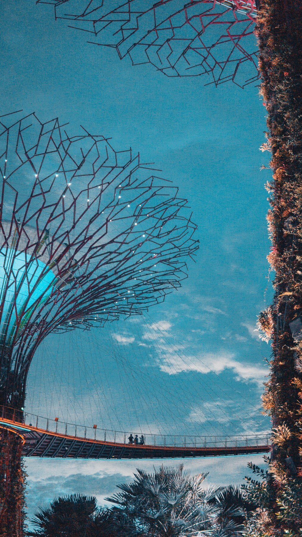 Gardens by the Bay as a Singapore attraction