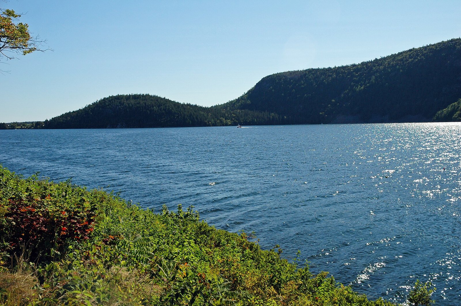 Somes Sound, the fjord-like inlet on Mount Desert Island, Maine